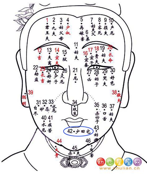 少田宅痣 意思